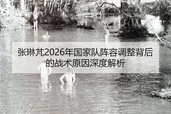 zhang-lin-peng-nian-guo-jia-dui-zhen-rong-tiao-zheng-bei-hou-de-zhan-shu-yuan-yin-shen-du-jie-xi-2-555.jpg