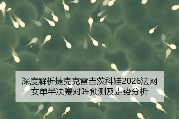 深度解析捷克克雷吉茨科娃2026法网女单半决赛对阵预测及走势分析